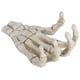 thumbnail image 1 of Adornos de hueso de mano, manos de esqueleto de Halloween Manos de esqueleto de plástico alto Decoración de huesos de mano Estándares líderes en la industria, 1 of 13