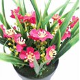 thumbnail image 2 of Planta artificial Simulación de flor artificial Planta en maceta verde Flor artificial Clivia Chlorophytum Planta en maceta Adornos decorativos Flores artificiales (rosa roja) Sailing Electrónica, 2 of 5