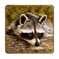 thumbnail image 3 of Raccoon Wooden Cork Coasters Gift Set of 4 by Nature Wonders | Nature Wildlife Decor - 95289C-S4, 3 of 6