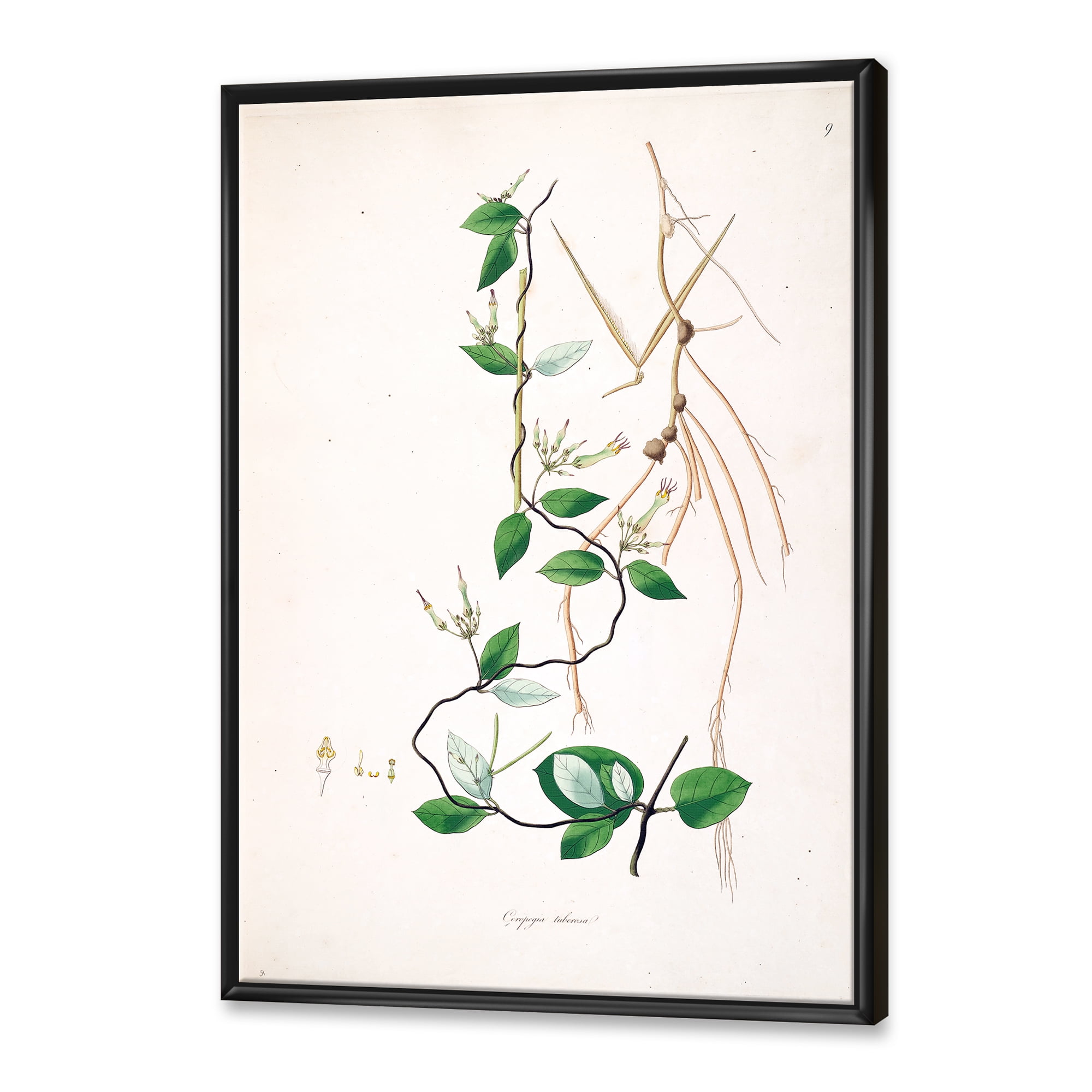 Designart 'Ancient London Plants IV' Farmhouse Framed Canvas Wall Art Print