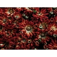thumbnail image 2 of Carson, Brian 18x15 Gold Ornate Wood Framed with Double Matting Museum Art Print Titled - Backyard Flowers Red 88, 2 of 4