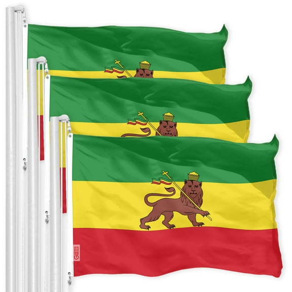 Ethiopia Lion Ethiopian Flag 3x5FT 3-Pack 150D Printed Polyester By G128