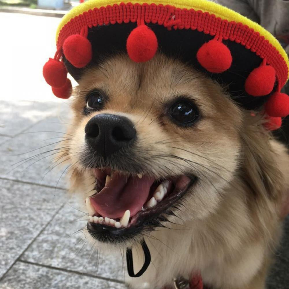 Dog Hat, Pet Mini Hats Mexican Hats 