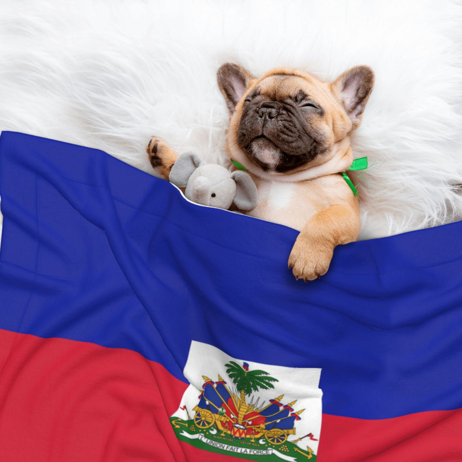 Haitian Flag Pattern Dog Blanket Soft Warm Flannel Cat Blanket Great Pet Throw for Cats Puppy Small Medium Large Dog