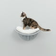 thumbnail image 2 of TRIXIE Lorena Space Saving Wall Mounted Cat Perch with Soft Cushion, Gray, 2 of 5