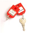 ELAYARD Plastic Key Tags Window and Split Ring Multi Color with Label ...