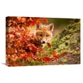 thumbnail image 1 of Global Gallery Robert Adamec,'Fox' Stretched Canvas Artwork, 1 of 3