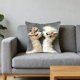thumbnail image 5 of Cojín decorativo con estampado animal de 45 x 45 cm | Funda de poliéster suave para sofá, dormitorio y salón | Diseño multicolor, 5 of 6
