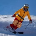 thumbnail image 1 of Skiing Protective Gear Knee Pads: Cactus And Bear Pattern Knee Pads Suitable For Both Snowboarding And Skiing., 1 of 5