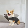 thumbnail image 4 of GASTROPOD 2026 New Dog Anxiety Jacket,Skin-Friendly Dog Calming Shirt - Dog Coat for Thunder,Fireworks&Separation - Keep Pet Calm Without Medicine & Training,Anti Anxiety Vest for Dogs(Dark Grey,Xl), 4 of 6