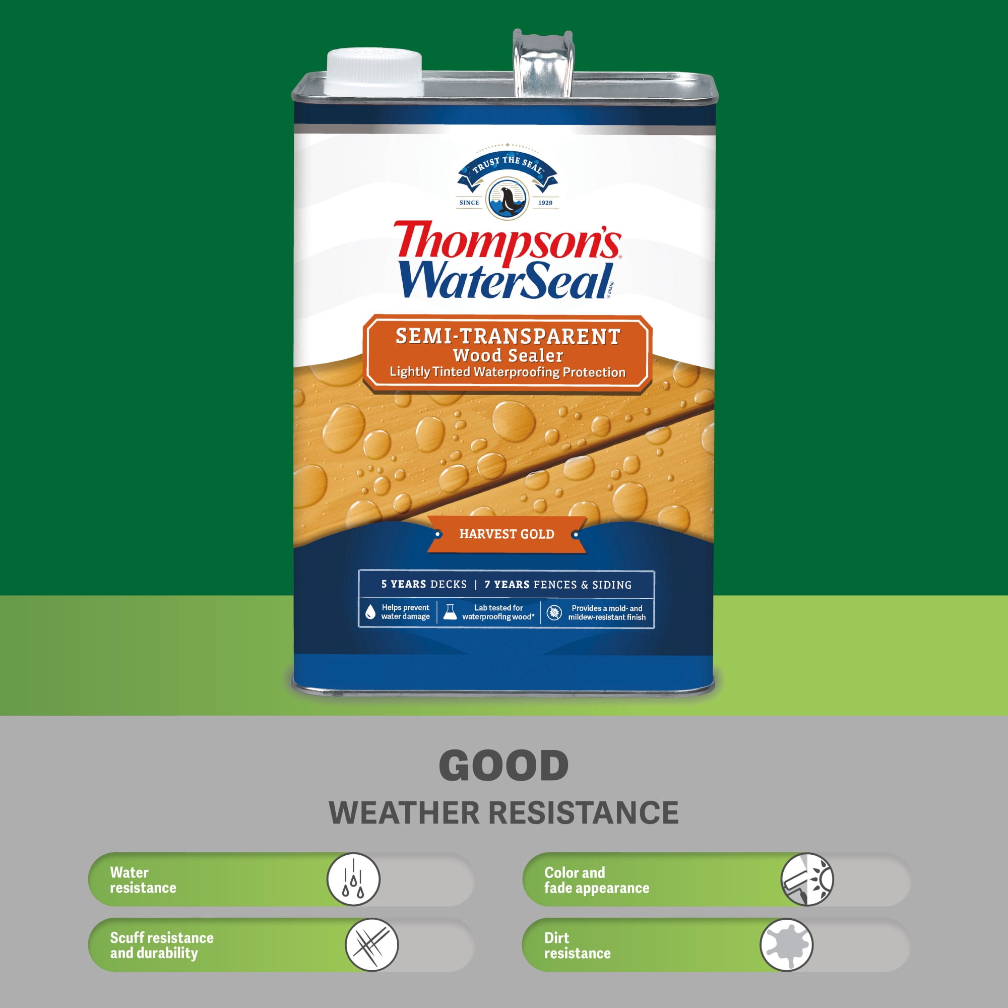 (2 pack) Thompson's WaterSeal Exterior Wood Sealer, Semi-Transparent, Chestnut Brown, 1 gal