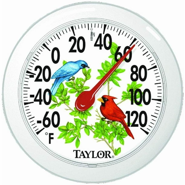 Taylor Thermometer Indoor/Outdoor 60 To 120 Deg F 6" Dia. Clear