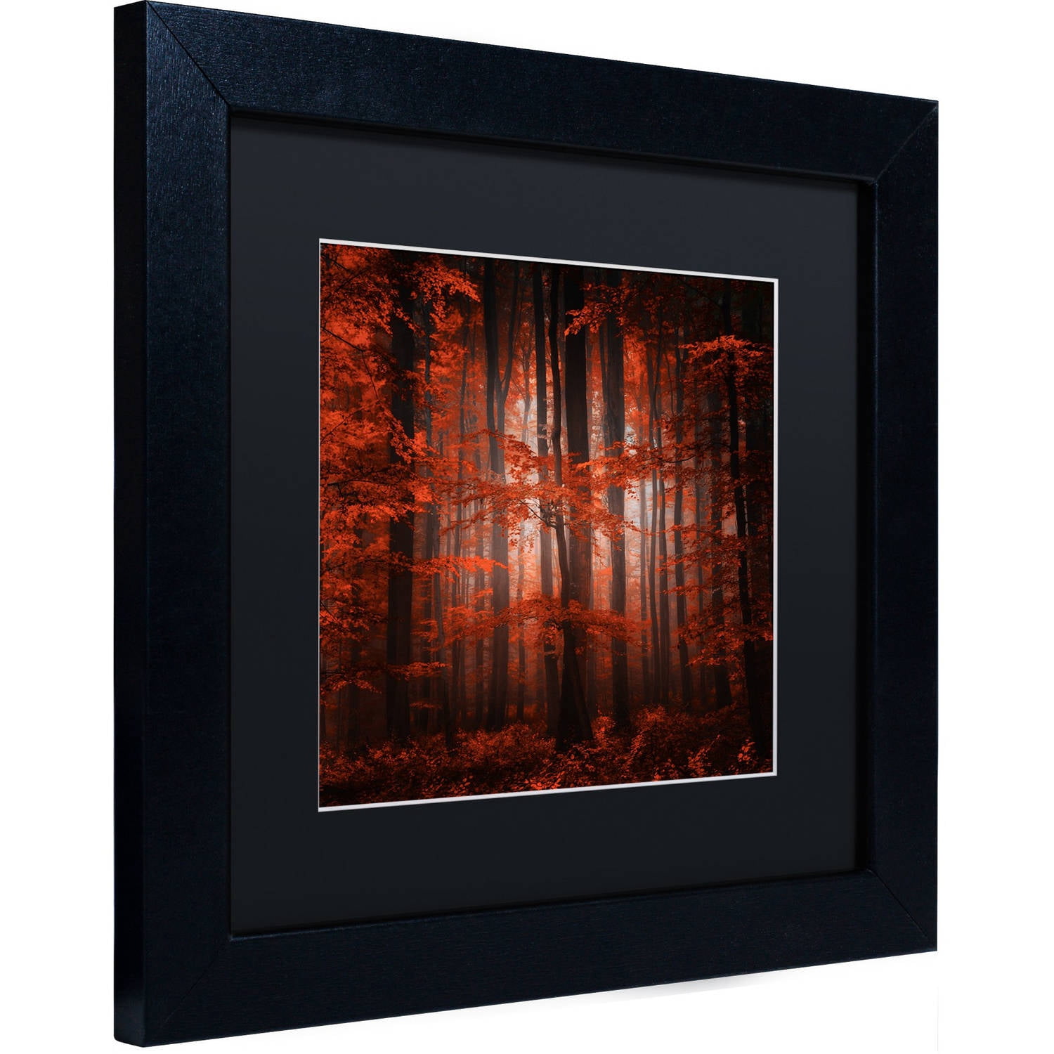 Trademark Fine Art "Red Parallel Universe" Canvas Art by Philippe Sainte-Laudy Black Matte, Black Frame