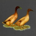 thumbnail image 2 of CafePress - Khaki Campbell Duck Pair Maternity Dark T Shirt - Maternity Dark T-Shirt, 2 of 3