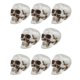 thumbnail image 2 of 8pcs Halloween Props de miedo calaveras pequeñas modelo de cráneo pequeño decoración de calaveras falsas para fiesta, 2 of 8