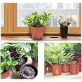 thumbnail image 6 of 4/6-inch Plant Baby Pots, Plastic Seedling Pots, Seed Starting Pots, Flower and Plant Containers, Suitable for Succulent Plants, Seedlings, Cutting, and Transplantation, 6 of 7