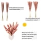 thumbnail image 2 of Naiovety 15 piezas de plantas de hierba de Pampas secas, ramo de plantas, decoración de ramo de interior, escena DIY, accesorio de caña seca para fiesta Kits de decoración para fiestas NO1 Naiovety HA035508-00B, 2 of 6