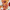 Red_Orange, variant on Lush Decor Leah Floral Print Soft Microfiber Reversible Quilt, Full/Queen, Yellow/Gray, 3-pc set includes: 1 Quilt, 2 Pillow Shams