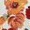 Red_Orange, variant on Lush Decor Leah Floral Print Soft Microfiber Reversible Quilt, Full/Queen, Yellow/Gray, 3-pc set includes: 1 Quilt, 2 Pillow Shams