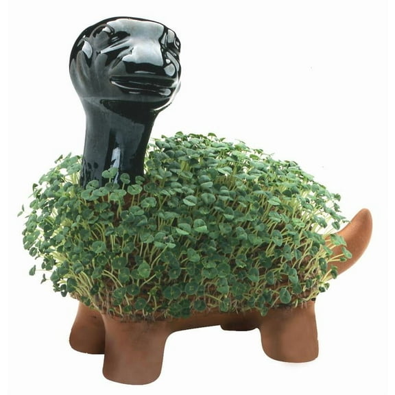 Dinosaur Classic Chia Pet Handmade Decorative Planter by JEI