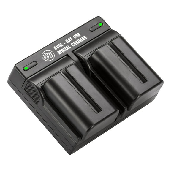 BM 2 NP-FM500H Batteries and Dual Bay Charger for Sony Alpha a77II, a68, SLT-A57, SLT-A58, A65V, A77V, A99V, A100, A200, A300, A350, A450 DSLR Cameras