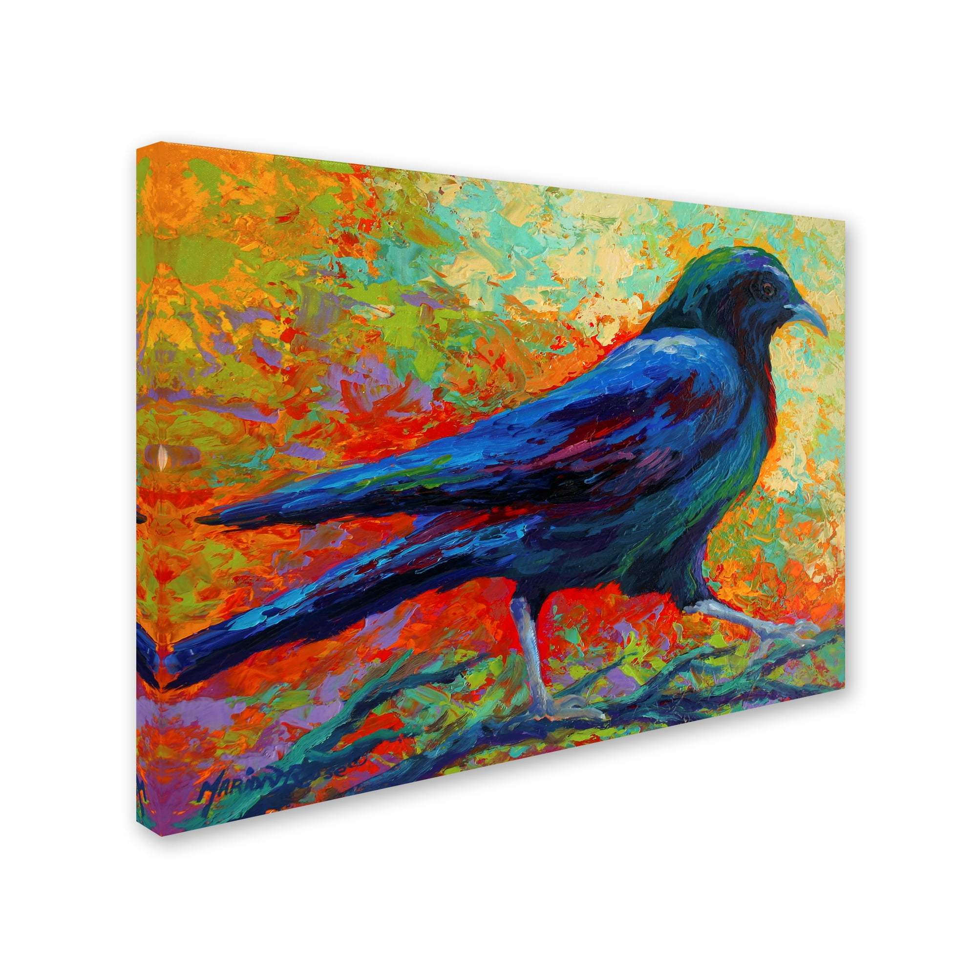 Trademark Fine Art 'Crow 15' Canvas Art by Marion Rose