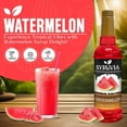 thumbnail image 5 of Syruvia Watermelon Pure Cane Syrup, 25.4 fl Oz With Pump, 5 of 6