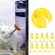 thumbnail image 1 of Bebedero automático con diseño de cierre de 11 piezas bebederos mascotas para conejos Anggrek Otros, 1 of 8