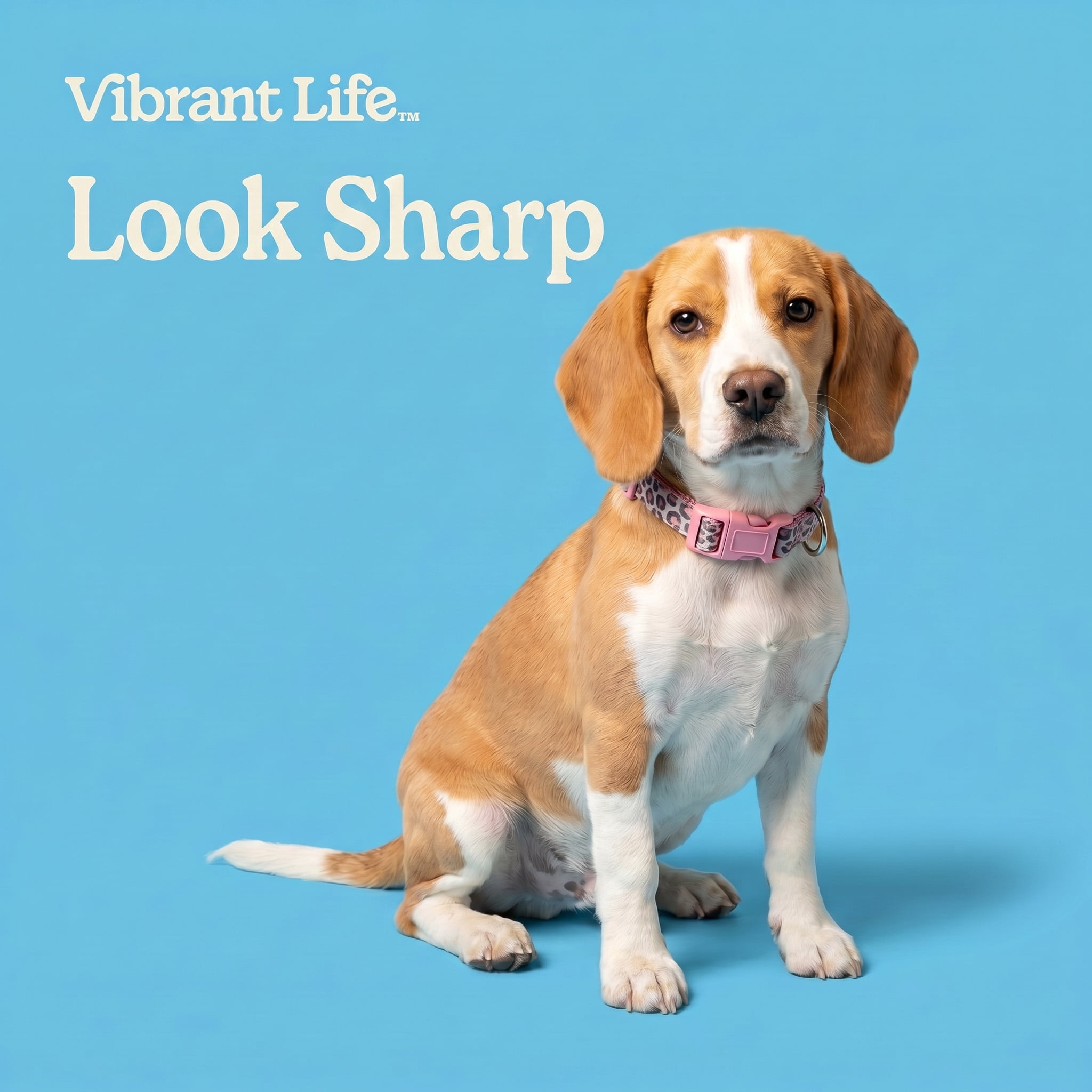 Vibrant Life Reflective Adjustable Dog Collar, Pink Cheetah, Small