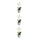 thumbnail image 1 of Ramo de boda Planta artificial Yuarrent Flor de imitación Blanco, 1 of 6