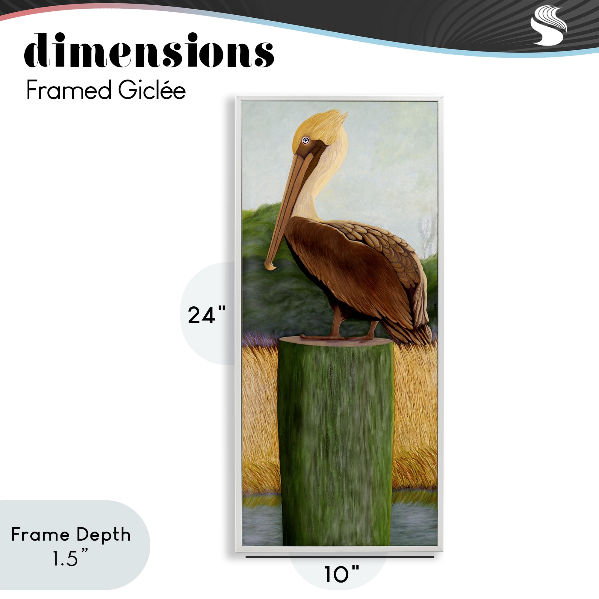 Stupell Industries Blue Eyed Pelican White Framed Giclee Art, design by Barbara Fallenbaum