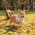 thumbnail image 5 of AuroraX Halloween Dog Bandana Scarf Halloween Cat Dog Kerchief Soft Lightweight Adjustable Triangular Pet Costume Accessories White National Dog Day International Cat Day, 5 of 6