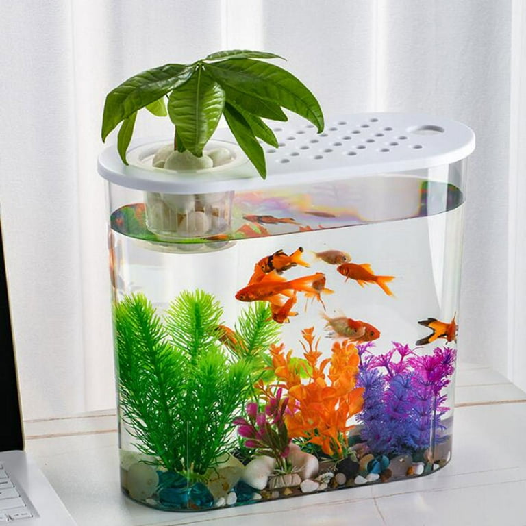 Clear tropical fish online