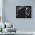 thumbnail image 3 of Trademark Fine Art 'Enduring II' Canvas Art by Julie T. Chapman, 3 of 4
