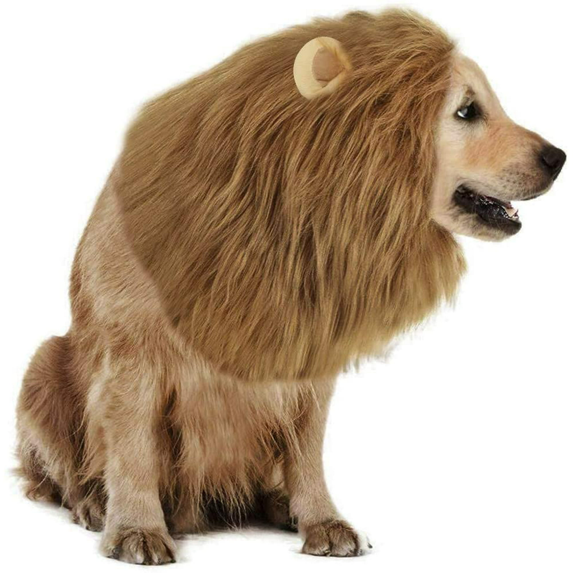 Realistic Funny Dog Lion Mane Costume Adjustable Pet Dog Wig Hat Clothes  Costumes for Medium Large Dogs Halloween Christmas Party Lion Hair Dog  Headband Lion Mane Wig Cosplay Outfits Apparels | Walmart