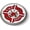 Metal Bezel, variant on BestLicensePlateFrames US Fire Department 3D Domed Car Emblem Badge Sticker, Chrome Metal Round Bezel