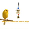 thumbnail image 4 of Cuttlefish Bone Bird Toy Parrot Chew Toy Calcium Squirrel Molares Cuerdas colgantes Hugtrwg Para estrenar, 4 of 6