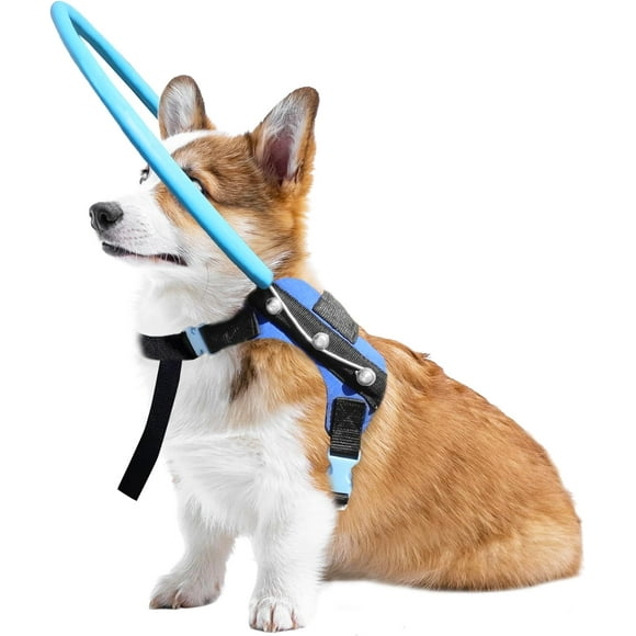 SHIQI-Blind Dog Halo Harness, Protective Halo Dog Collar for Blind Dogs, Confidence Building Harness Guiding Device, Blind Dog Accessories, XS