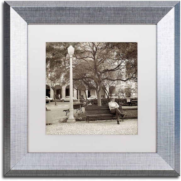 Trademark Fine Art "Faro I" Canvas Art by Alan Blaustein, White Matte, Silver Frame