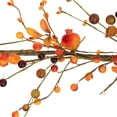 thumbnail image 5 of Northlight 5' x 6" Fall Harvest Berries and Leaves Twig Artificial Garland, Unlit, 5 of 7