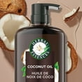 thumbnail image 3 of Herbal Essences Coconut Oil Hydrating Shampoo, with Certified Camellia Oil and Aloe Vera, For All Hair Types, Especially Dry Hair, 3 of 9