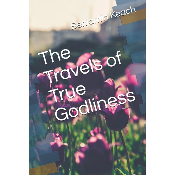 The Travels of True Godliness Paperback