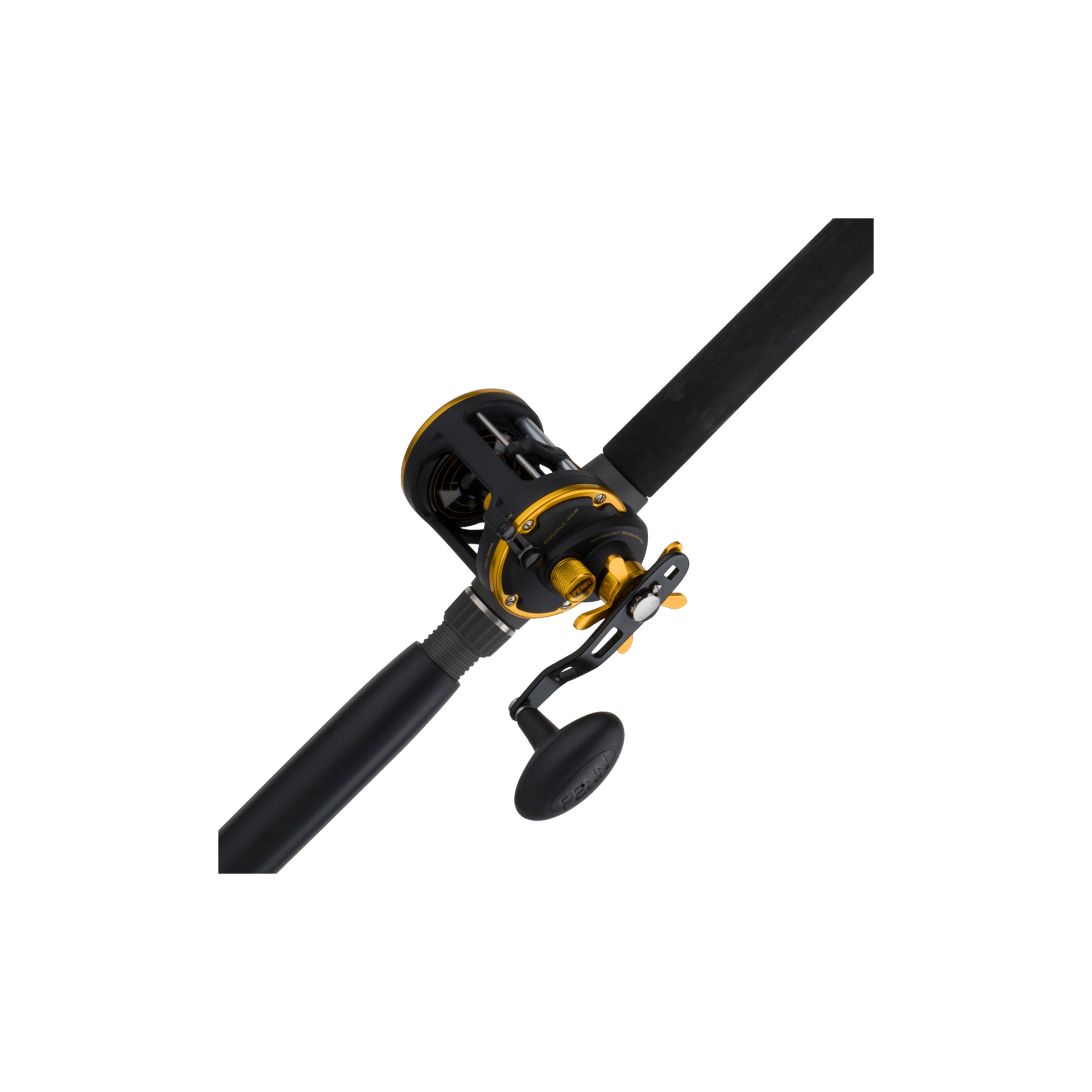 Penn Squall Level Wind Conventional Reel and Fishing Rod Combo thebookongonefishing