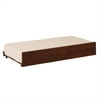 Canwood Trundle Bed in Espresso