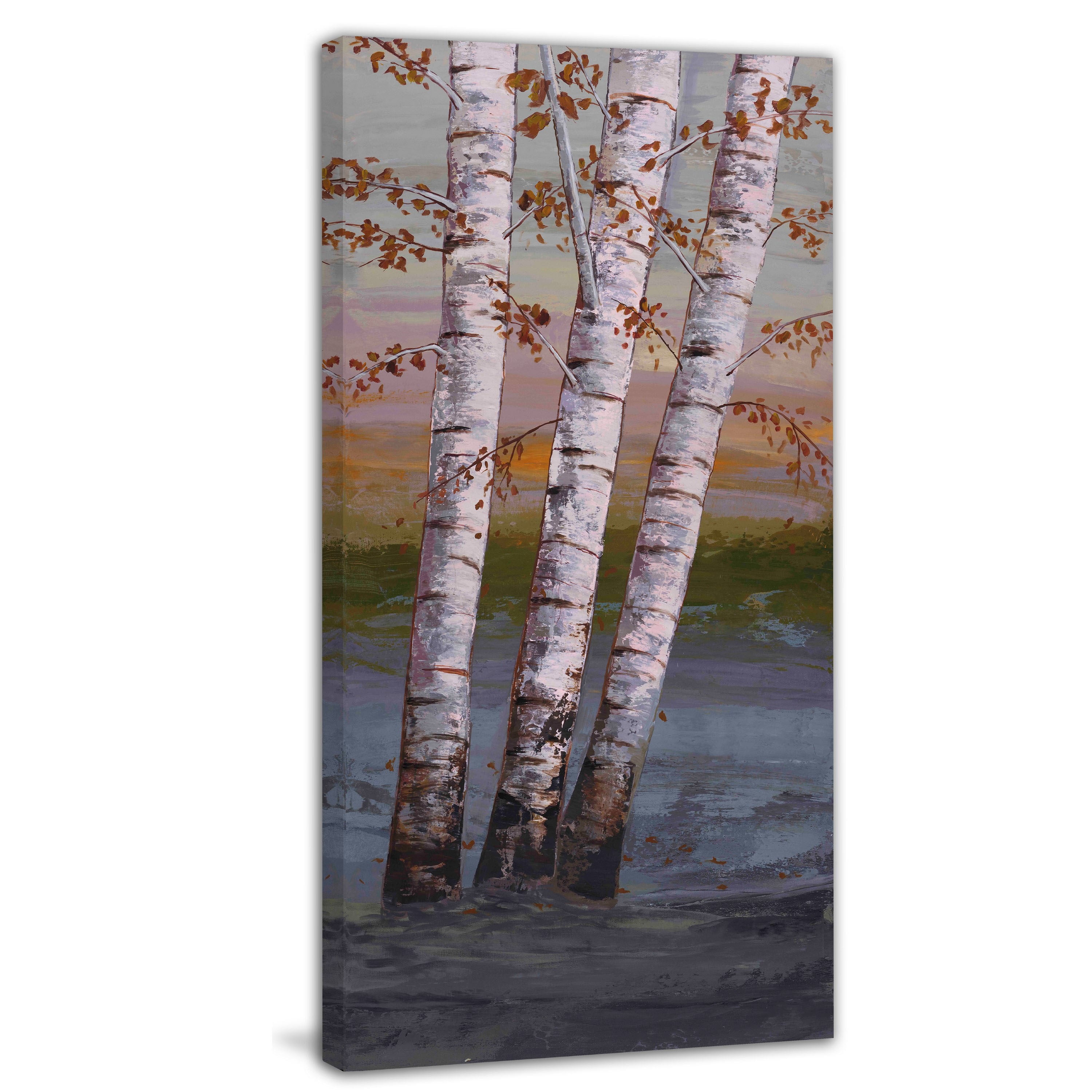MARMONT HILL  - Birch at Breaking Light II by Michael Woodward Painting Print on Canvas - Multi-Color 18 x 36