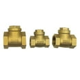 thumbnail image 4 of Check Valve For Plumbing (Cold And Hot Water Pipes) Heating Water Meter Interna, 4 of 5