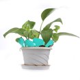 thumbnail image 4 of Signo Helado 100 Uds tipo T plástico vivero jardín planta etiqueta flor gruesa etiqueta verde Sywqhk Para estrenar, 4 of 4