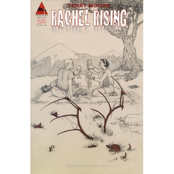 Rachel Rising #22 VF ; Abstract Comic Book