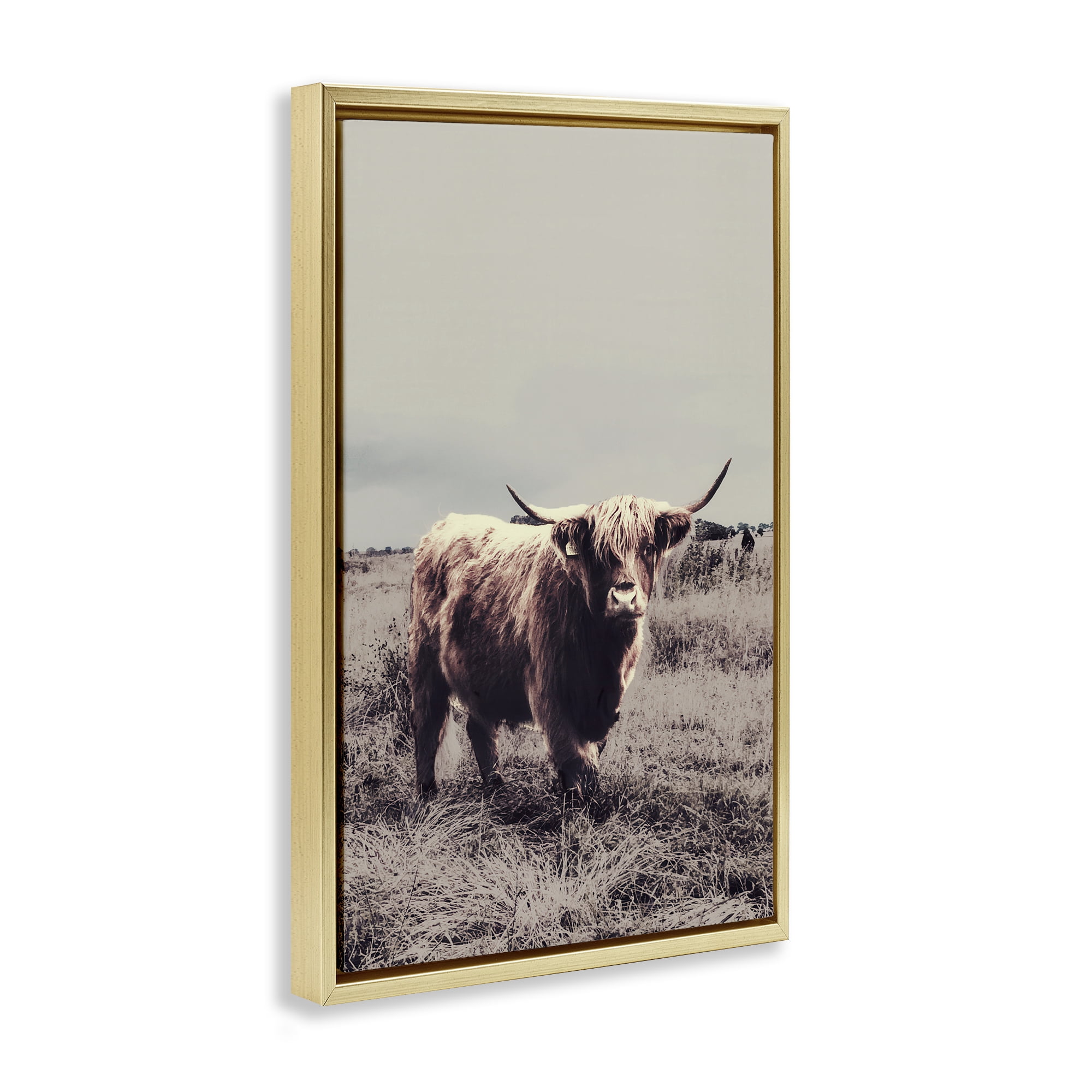 Stupell Industries Horned Cattle in Pasture Gold Framed Floater Canvas Wall Art, design by SD Graphics Studio