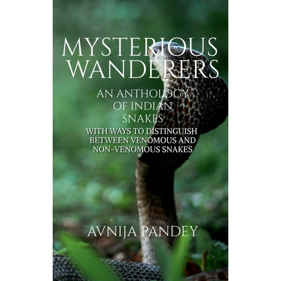 Mysterious Wanderers, (Paperback)